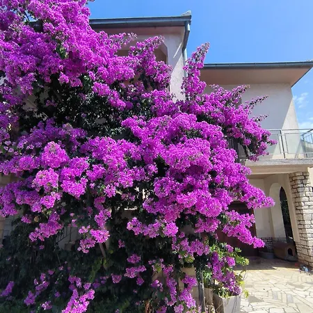 Appartement Rosa *