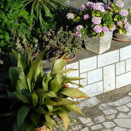 Appartement Rosa *