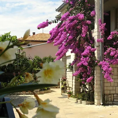 Appartamento Rosa