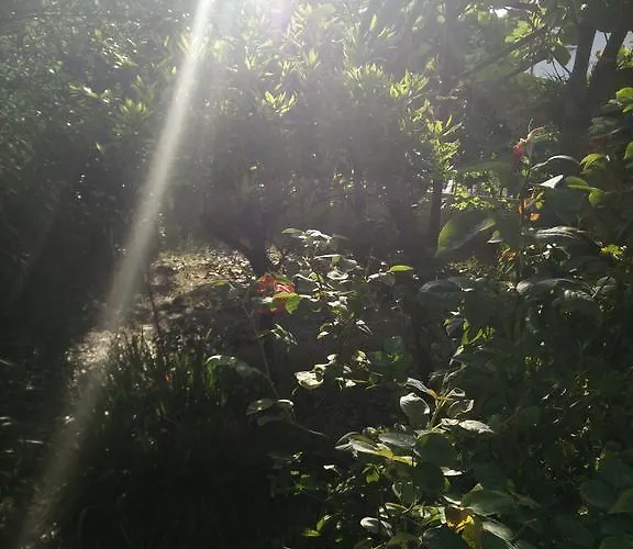 Rosa 아파트 로비니